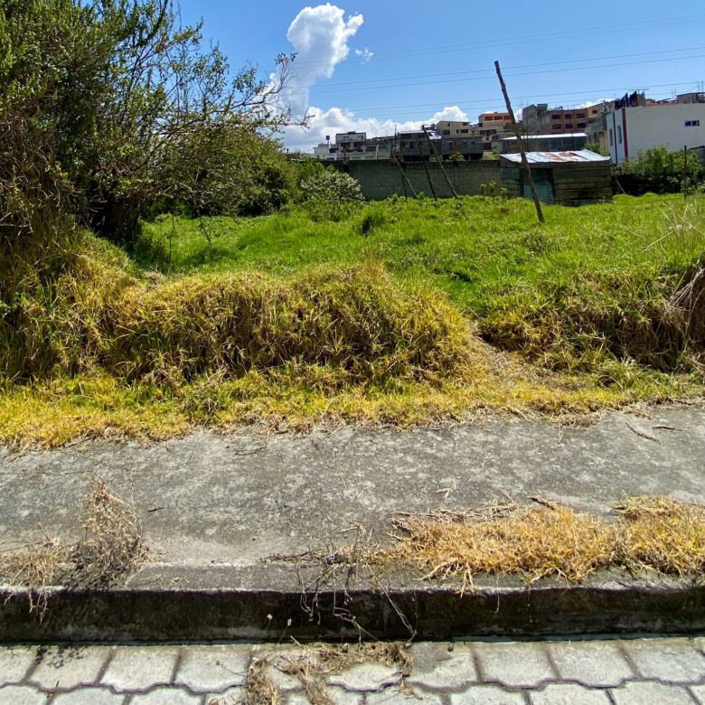 Terreno de oportunidad!