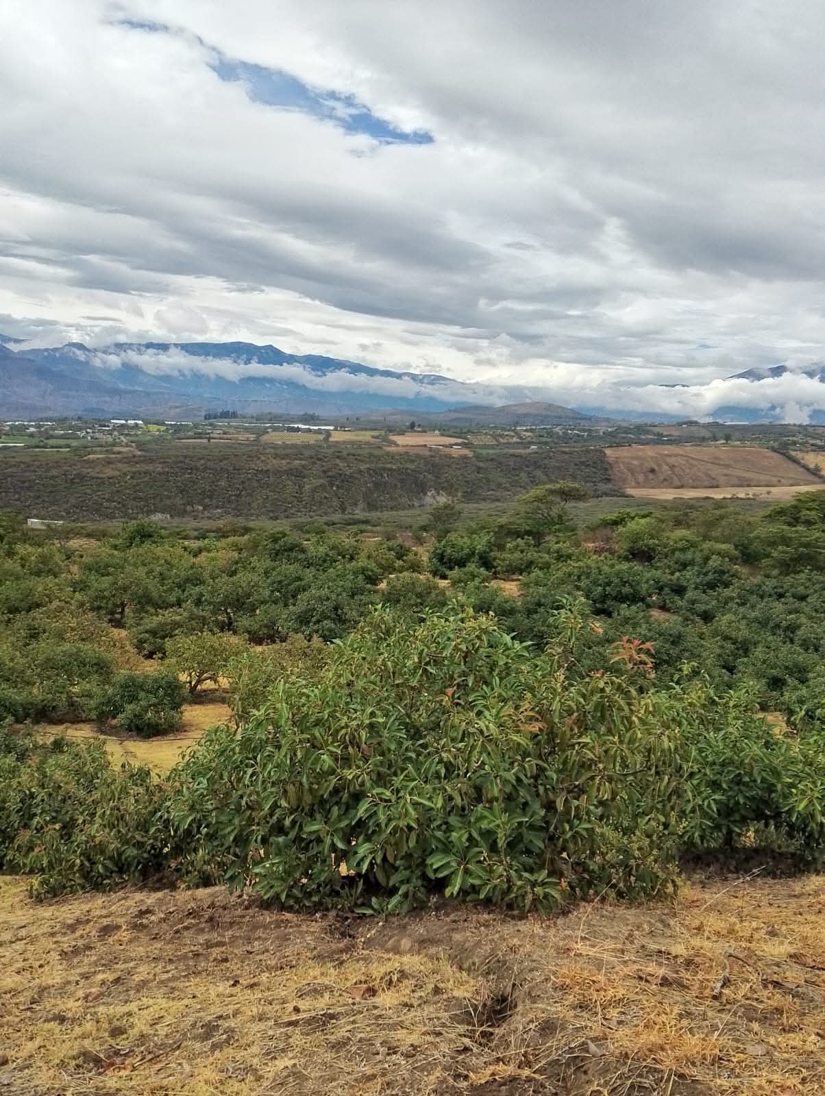 WhatsApp Image 2026-03-06 at 10.14.12 (3)