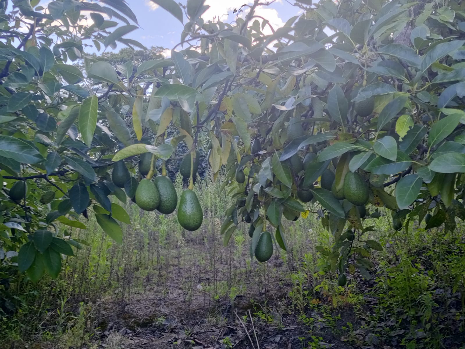 WhatsApp Image 2026-03-06 at 10.14.13 (1)