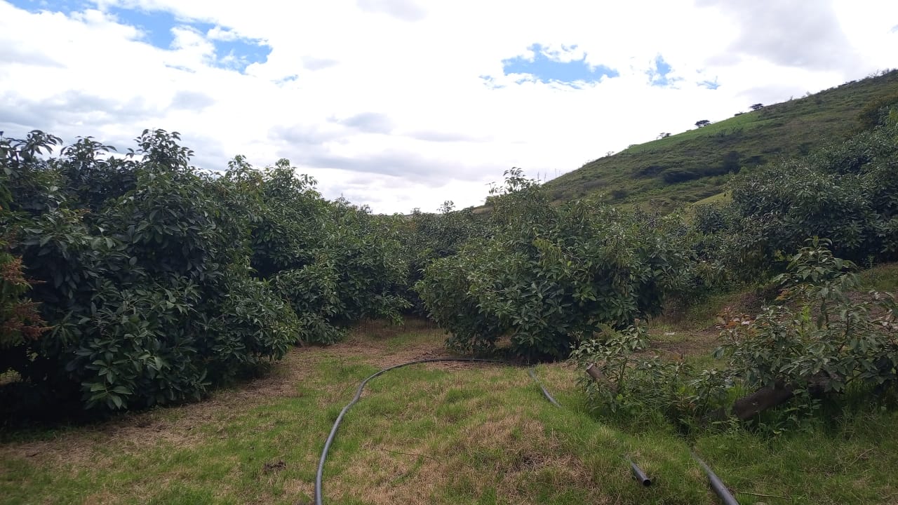 WhatsApp Image 2026-03-06 at 10.14.13 (2)