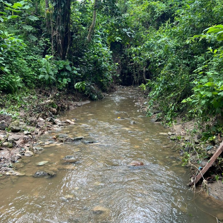 Venta 📞 099 294 7189 🏞️🐂 ¡Gran Hacienda Ganadera en Manabí – 500 hectáreas de pura abundancia! 🌱💧⚡ #InversiónSegura