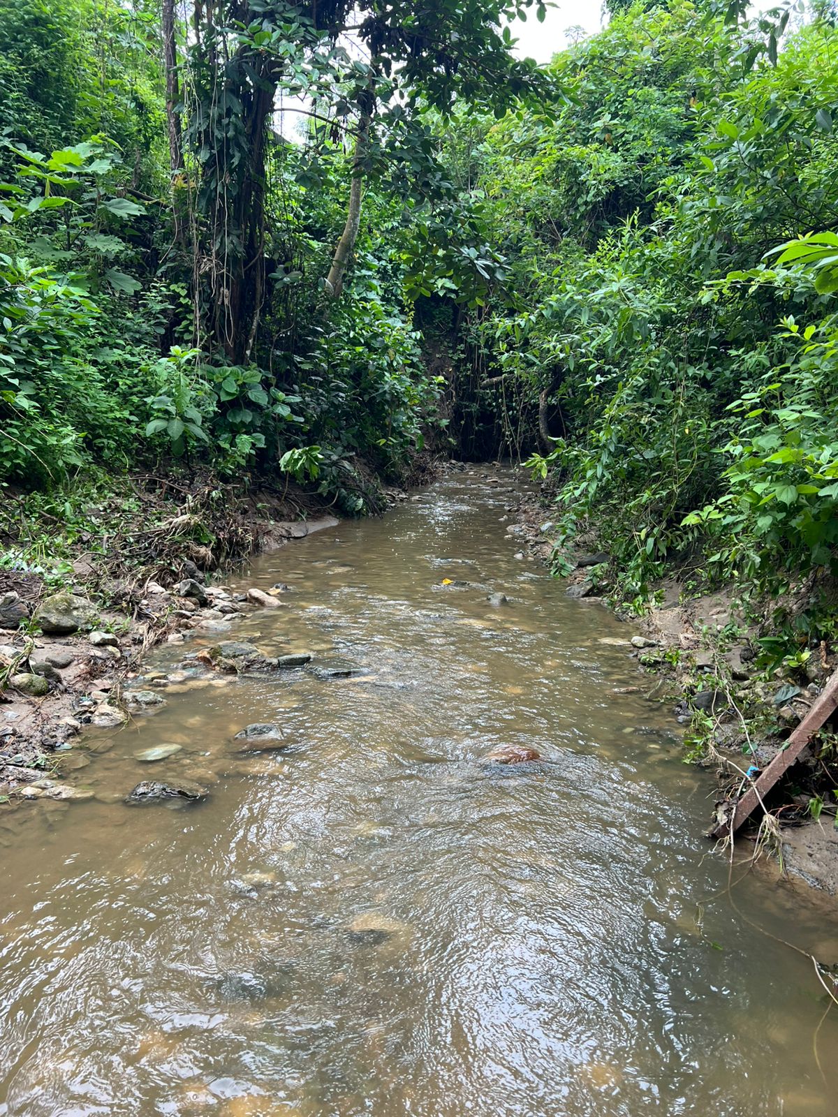 Venta 📞 099 294 7189 🏞️🐂 ¡Gran Hacienda Ganadera en Manabí – 500 hectáreas de pura abundancia! 🌱💧⚡ #InversiónSegura