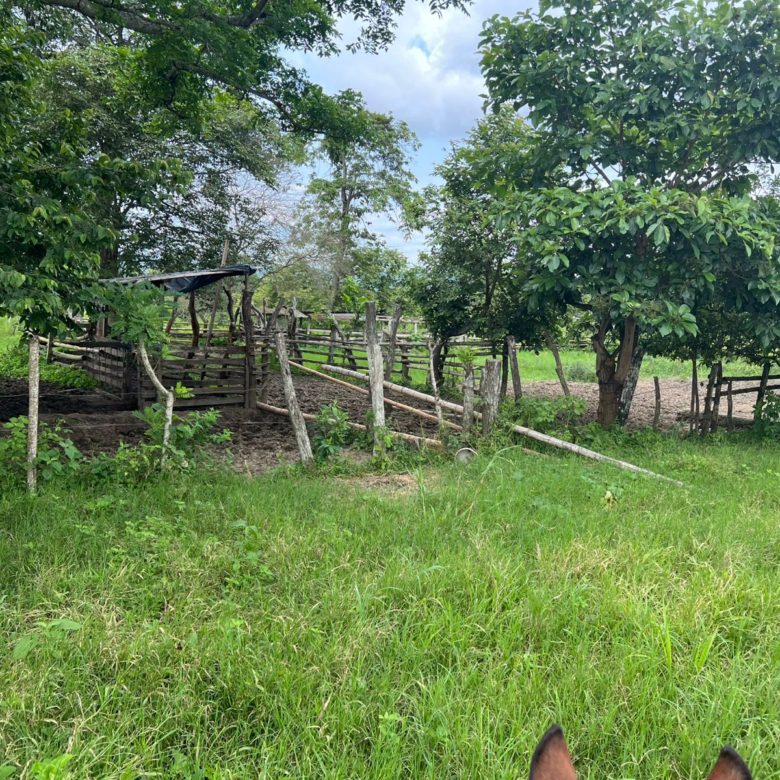 Venta 📞 099 294 7189 🏞️🐂 ¡Gran Hacienda Ganadera en Manabí – 500 hectáreas de pura abundancia! 🌱💧⚡ #InversiónSegura