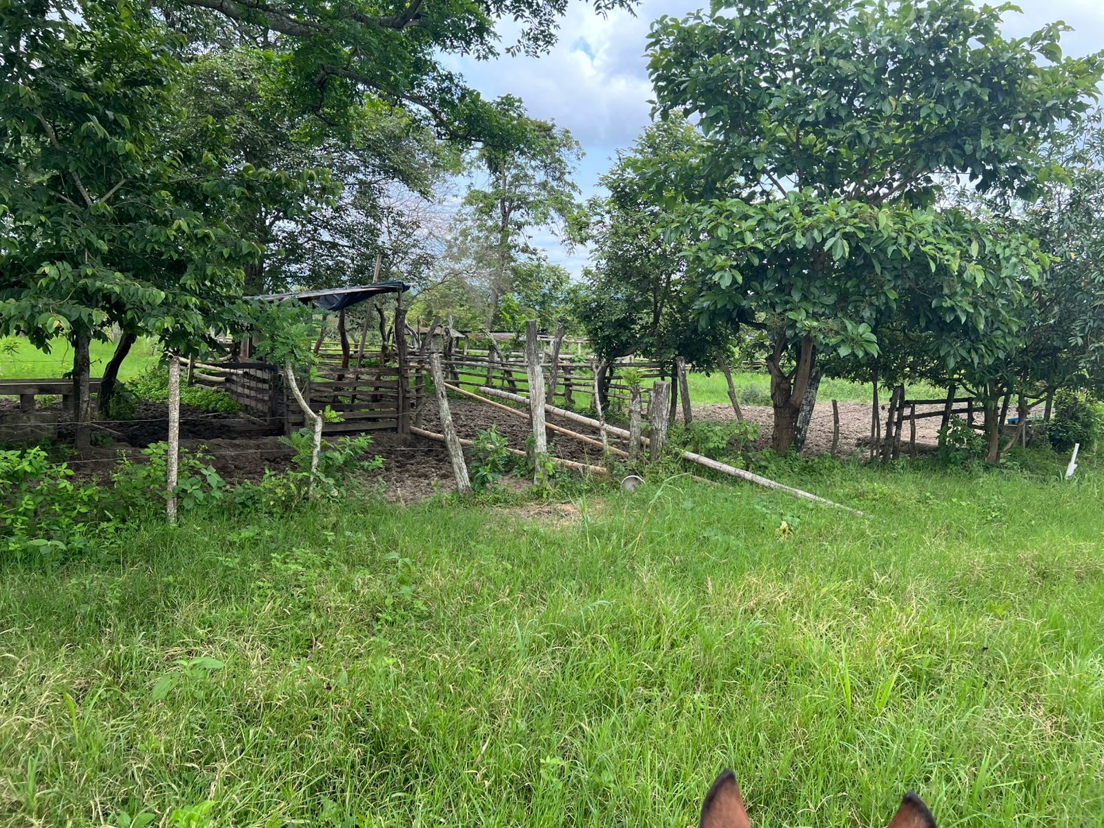 Venta 📞 099 294 7189 🏞️🐂 ¡Gran Hacienda Ganadera en Manabí – 500 hectáreas de pura abundancia! 🌱💧⚡ #InversiónSegura