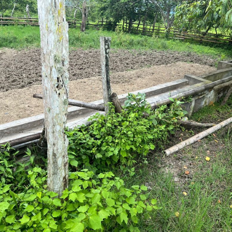 Venta 📞 099 294 7189 🏞️🐂 ¡Gran Hacienda Ganadera en Manabí – 500 hectáreas de pura abundancia! 🌱💧⚡ #InversiónSegura