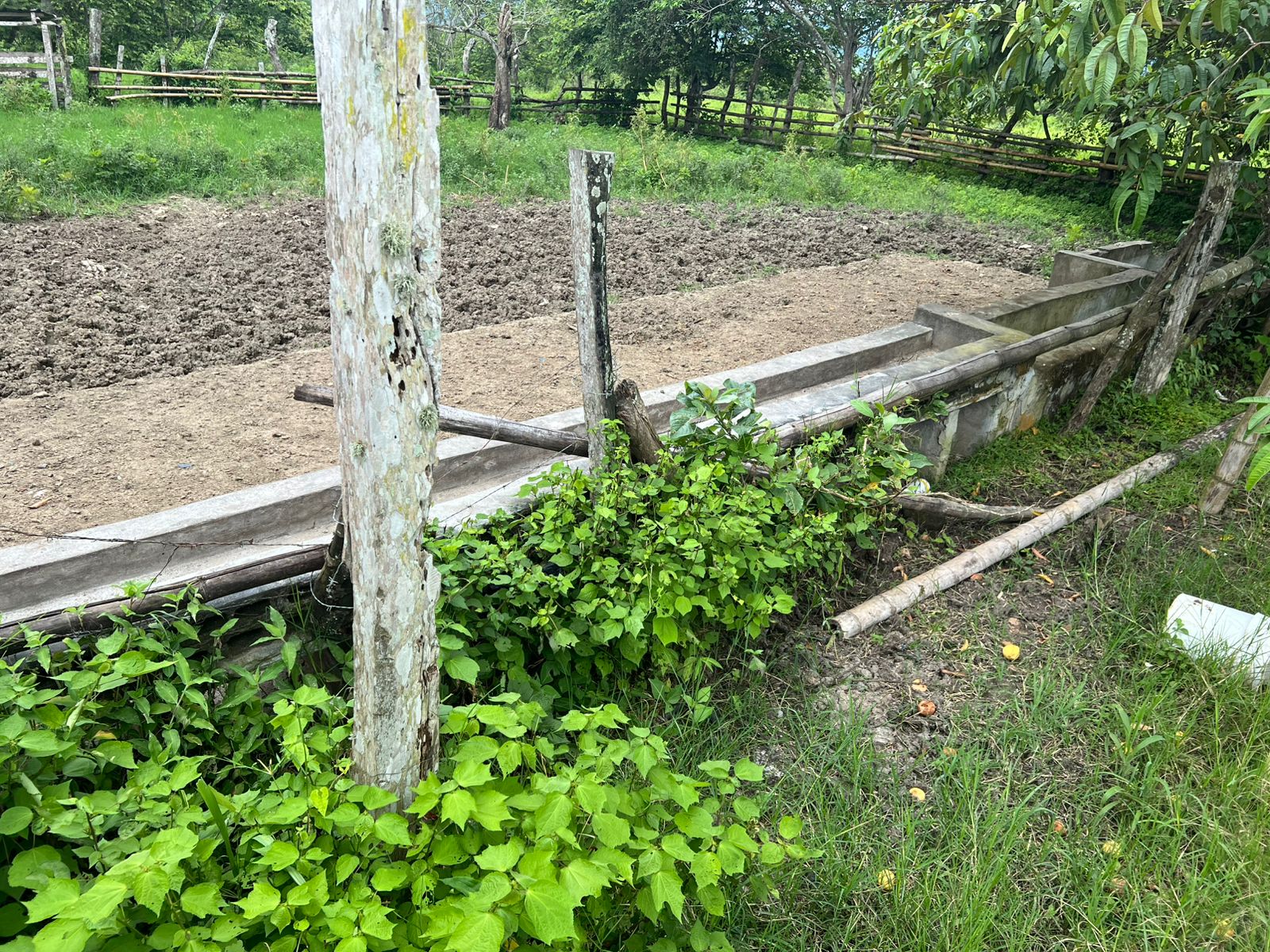 Venta 📞 099 294 7189 🏞️🐂 ¡Gran Hacienda Ganadera en Manabí – 500 hectáreas de pura abundancia! 🌱💧⚡ #InversiónSegura