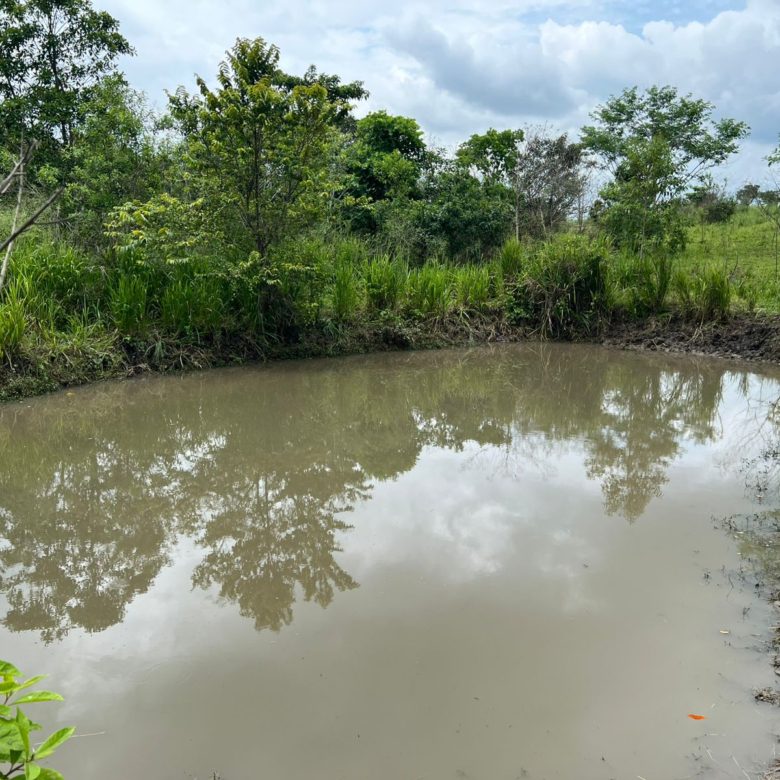 Venta 📞 099 294 7189 🏞️🐂 ¡Gran Hacienda Ganadera en Manabí – 500 hectáreas de pura abundancia! 🌱💧⚡ #InversiónSegura