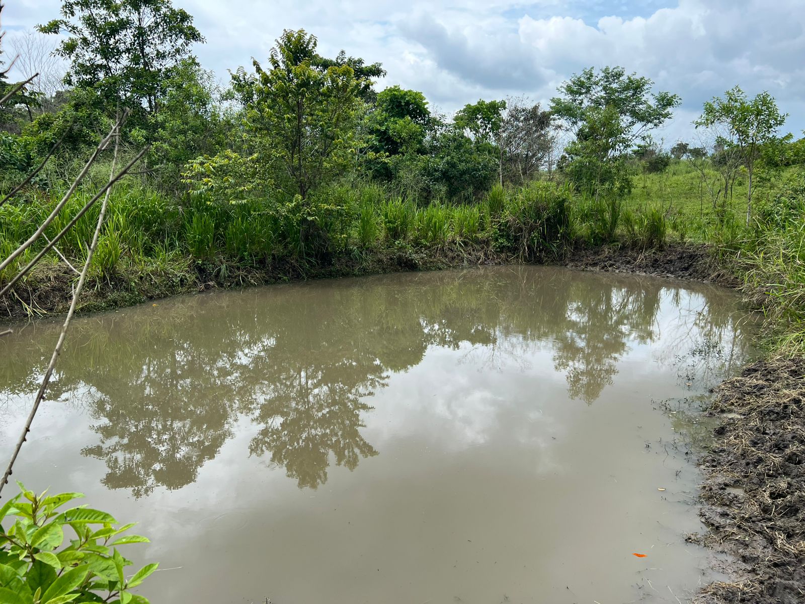 Venta 📞 099 294 7189 🏞️🐂 ¡Gran Hacienda Ganadera en Manabí – 500 hectáreas de pura abundancia! 🌱💧⚡ #InversiónSegura
