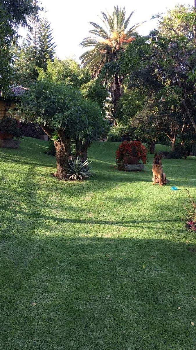 1606308972 Venta 📞 099 294 7189 🏔️💎 ¡PROPIEDAD DE LUJO EN CUMBAYÁ! FRENTE AL RESERVORIO CON VISTAS INIGUALABLES 🌅💧📏 Terreno: 1.498,88 m² | 🏠 Casa: 349,42 m² 📊🔥 #PropiedadEnCumbayá