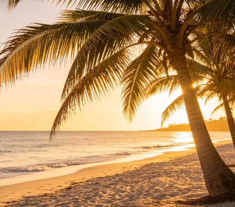 Venta 📞 099 294 7189 ✨🌴 ¡TERRENO DE ENSUEÑO 97.543 m² CON PLAYA PROPIA ENTRE PEDERNALES Y COJIMÍES! 🌊☀️🏡 Vía pavimentada | Clima perfecto todo el año 🐚🌅💎 #TerrenoConPlaya