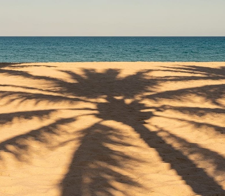 Venta 📞 099 294 7189 ✨🌴 ¡TERRENO DE ENSUEÑO 97.543 m² CON PLAYA PROPIA ENTRE PEDERNALES Y COJIMÍES! 🌊☀️🏡 Vía pavimentada | Clima perfecto todo el año 🐚🌅💎 #TerrenoConPlaya