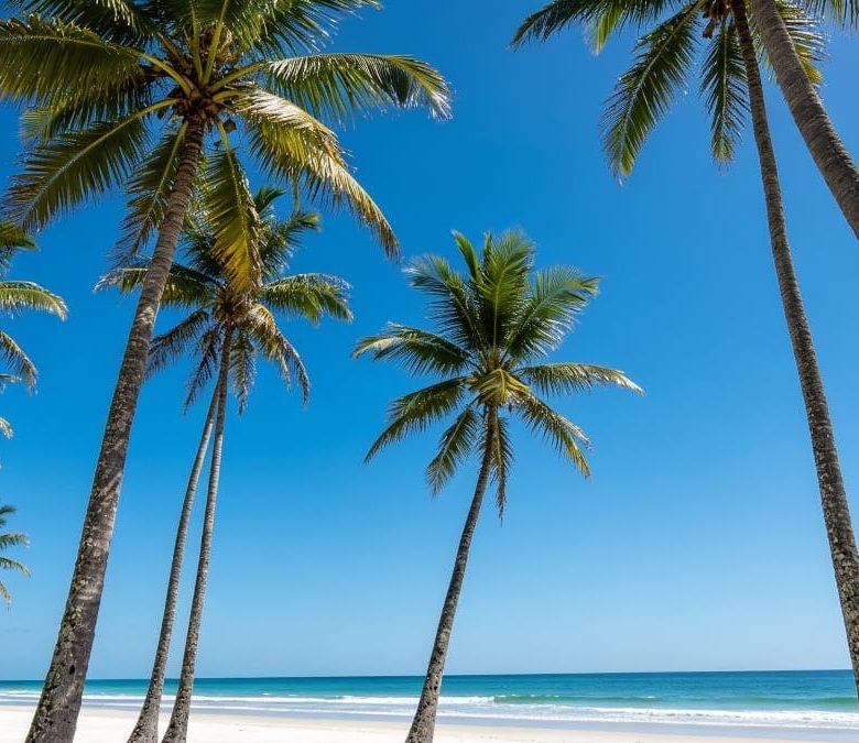 Venta 📞 099 294 7189 ✨🌴 ¡TERRENO DE ENSUEÑO 97.543 m² CON PLAYA PROPIA ENTRE PEDERNALES Y COJIMÍES! 🌊☀️🏡 Vía pavimentada | Clima perfecto todo el año 🐚🌅💎 #TerrenoConPlaya
