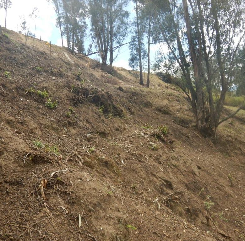 Terreno CUMBAYA