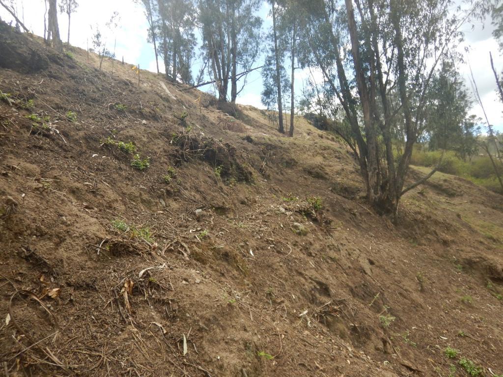 Terreno CUMBAYA