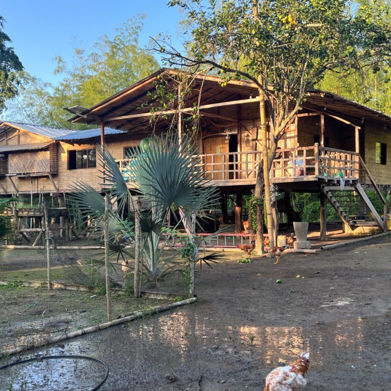 Venta 📞 099 294 7189 ✨🌴 Rancho en San Isidro, Manabí 38.100 m² rodeado de naturaleza ☀️🏡💎 #RanchoMontubio