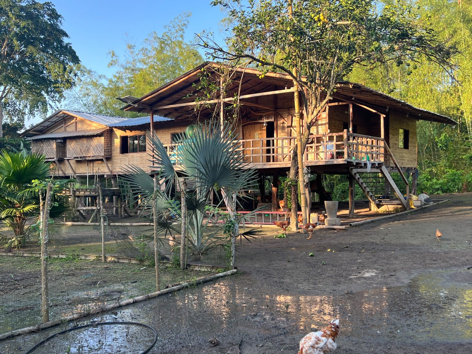 Venta 📞 099 294 7189 ✨🌴 Rancho en San Isidro, Manabí 38.100 m² rodeado de naturaleza ☀️🏡💎 #RanchoMontubio