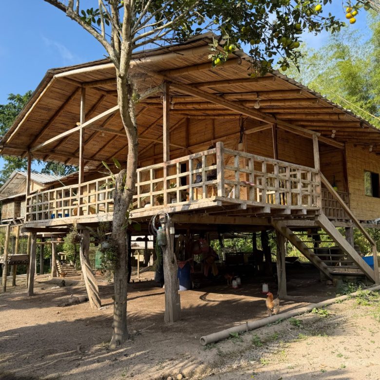 Venta 📞 099 294 7189 ✨🌴 Rancho en San Isidro, Manabí 38.100 m² rodeado de naturaleza ☀️🏡💎 #RanchoMontubio