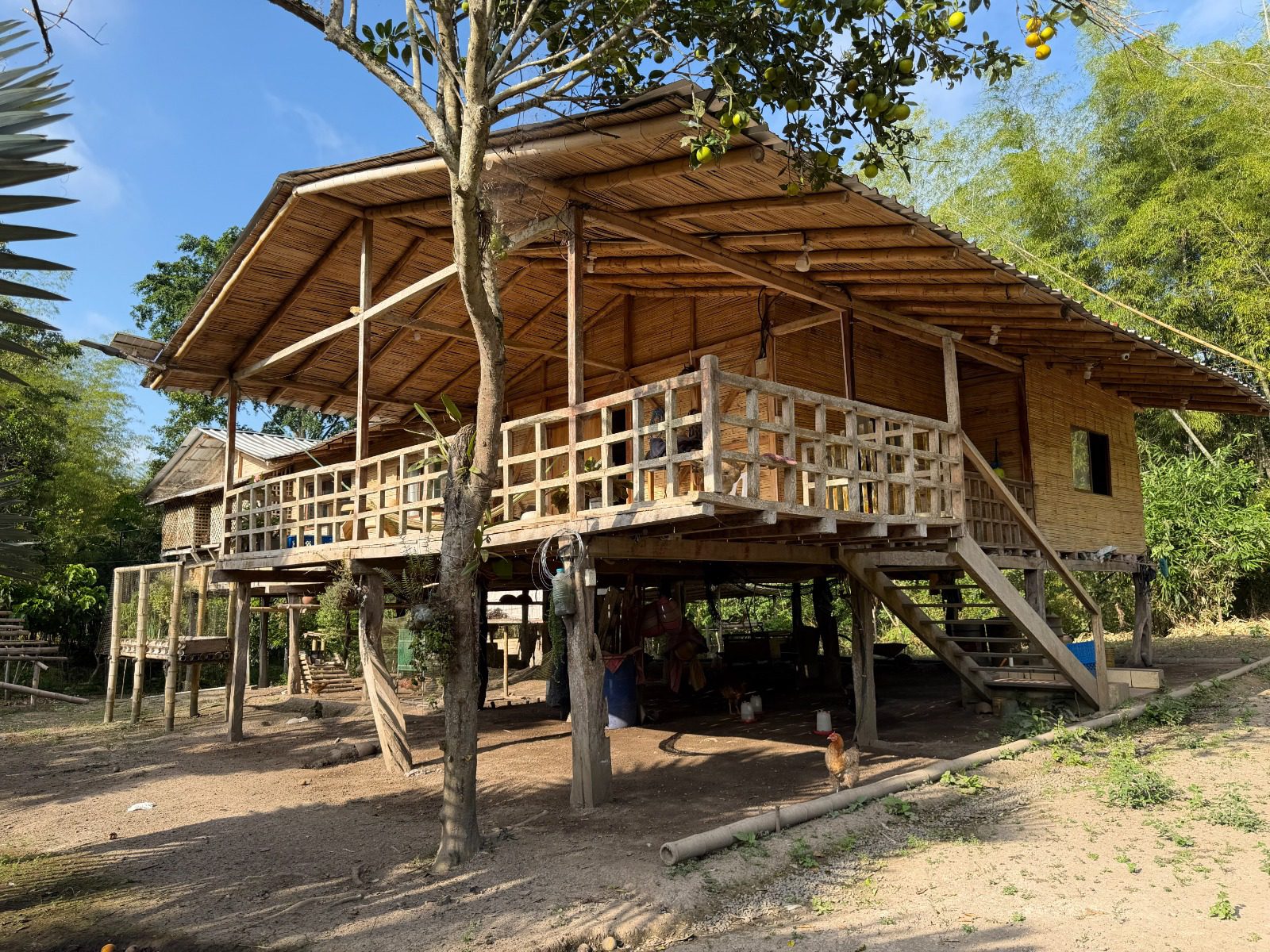 Venta 📞 099 294 7189 ✨🌴 Rancho en San Isidro, Manabí 38.100 m² rodeado de naturaleza ☀️🏡💎 #RanchoMontubio