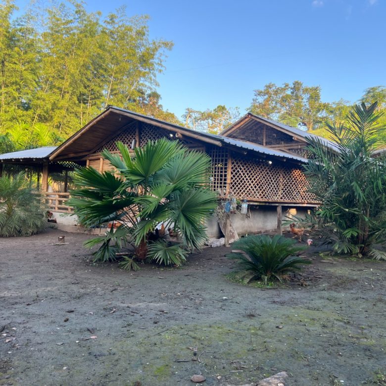 Venta 📞 099 294 7189 ✨🌴 Rancho en San Isidro, Manabí 38.100 m² rodeado de naturaleza ☀️🏡💎 #RanchoMontubio