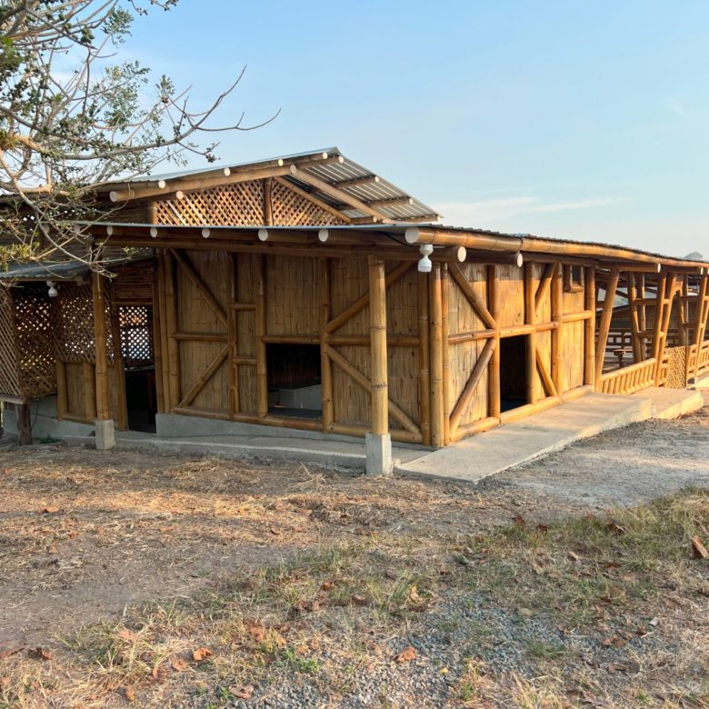 Venta 📞 099 294 7189 ✨🌴 Rancho en San Isidro, Manabí 38.100 m² rodeado de naturaleza ☀️🏡💎 #RanchoMontubio