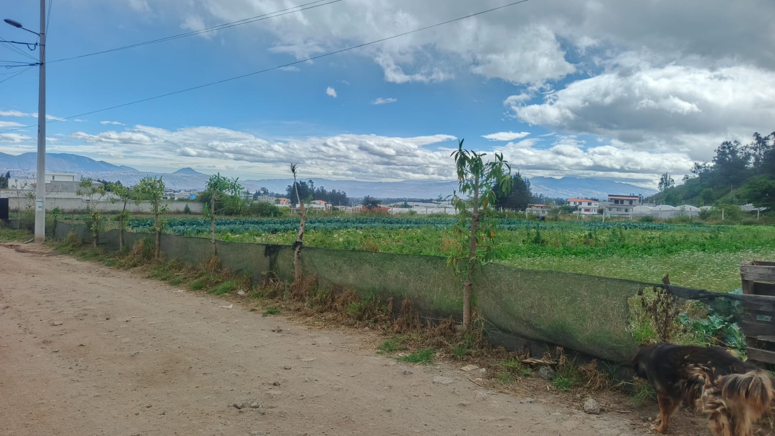 Venta de lotes de terreno