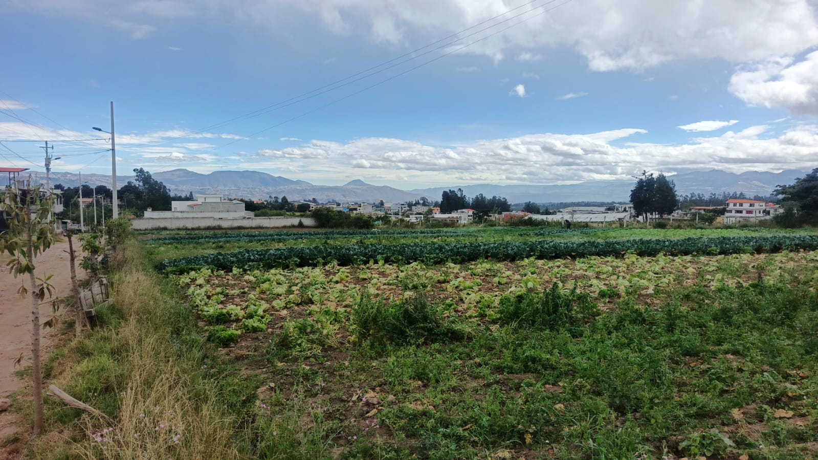 Venta de lotes de terreno