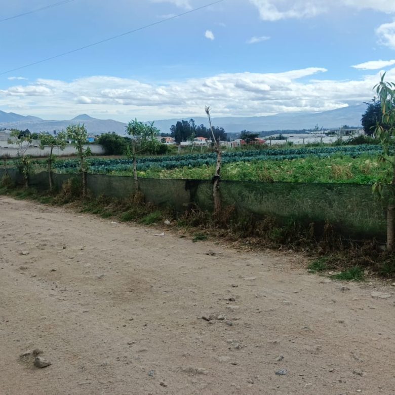 Venta de lotes de terreno