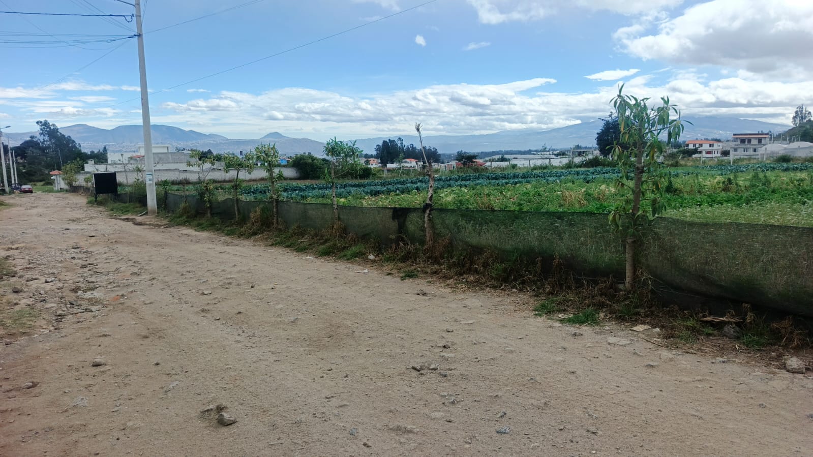 Venta de lotes de terreno