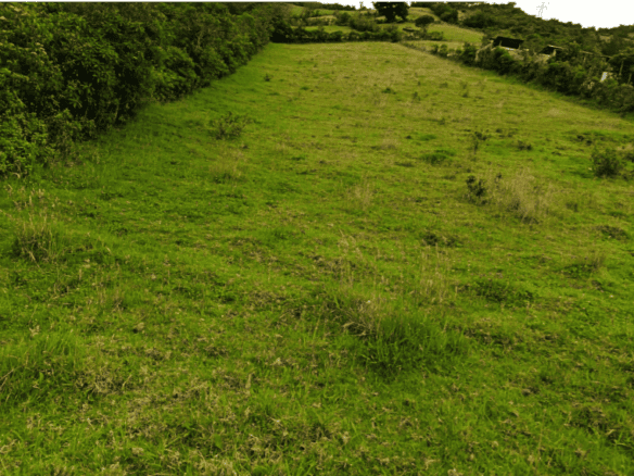 VENDO TERRENO 2.500 mts en 37.000 DOLARES