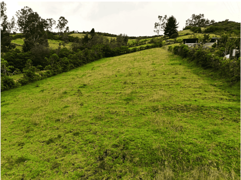 VENDO TERRENO 2.500 mts en 37.000 DOLARES