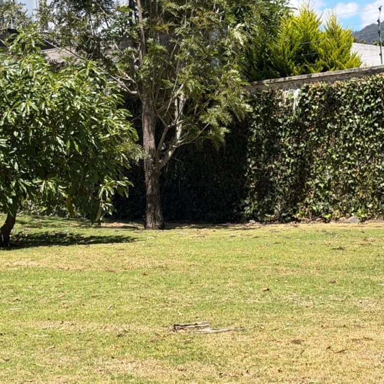 Venta 📞 099 294 7189 🏡 Casa de lujo 700 m², 1.587 m² de terreno 🌅 Luz, espacio, jardines y privacidad total 🌳🔒 #CumbayáExclusiva