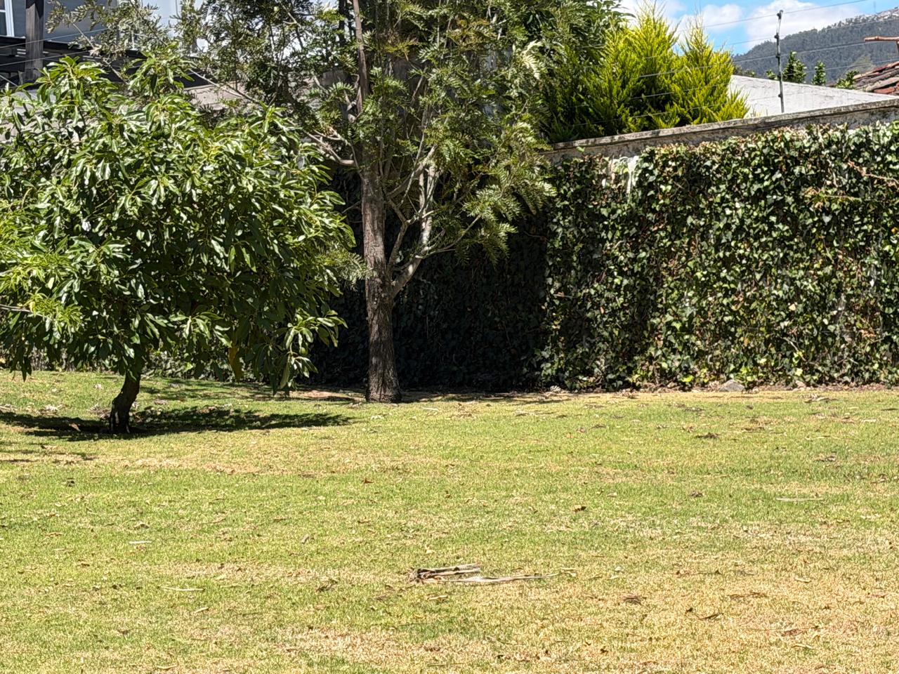 Venta 📞 099 294 7189 🏡 Casa de lujo 700 m², 1.587 m² de terreno 🌅 Luz, espacio, jardines y privacidad total 🌳🔒 #CumbayáExclusiva