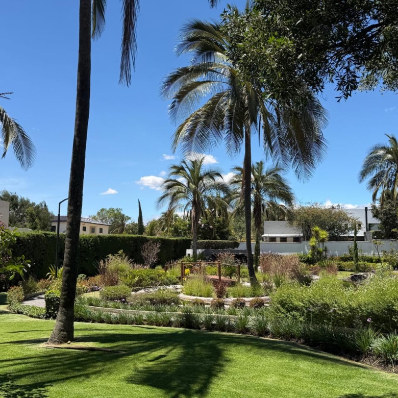 Venta 📞 099 294 7189 🏡 Casa de lujo 700 m², 1.587 m² de terreno 🌅 Luz, espacio, jardines y privacidad total 🌳🔒 #CumbayáExclusiva