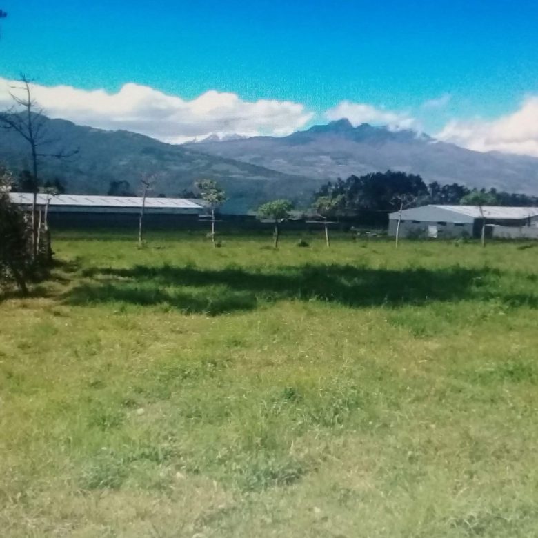 ¡Venta Exclusiva! 📞 099 294 7189 🌐🏭 Terreno Industrial I1 en Tambillo: 20.742 m² | USD 38 x m² | 🏷️ ¡Tu Proyecto Crece Aquí! 🚀📈 #InversiónSegura
