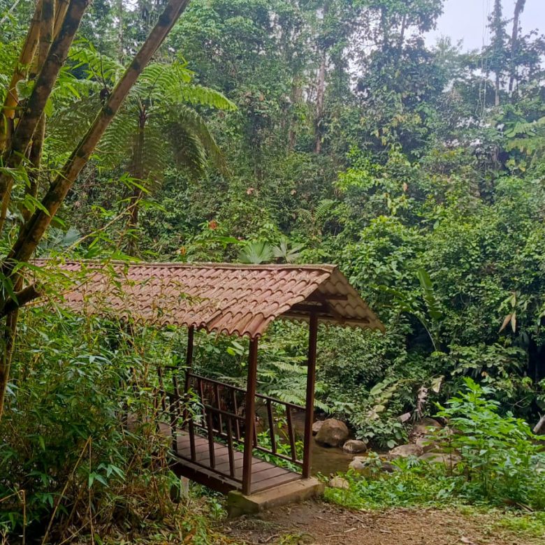 Venta 📞 099 294 7189 ✨🏡🌿 Casa Vacacional de 166,25 m² en Villa Real de Arashá: Naturaleza y Confort 🌿🏡✨ #TuSueñoEnArasha