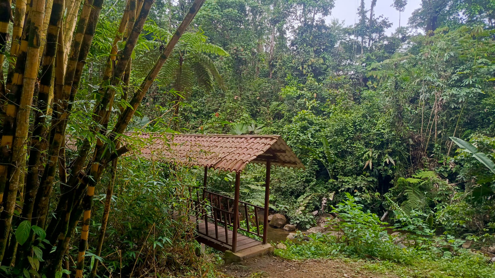 Venta 📞 099 294 7189 ✨🏡🌿 Casa Vacacional de 166,25 m² en Villa Real de Arashá: Naturaleza y Confort 🌿🏡✨ #TuSueñoEnArasha