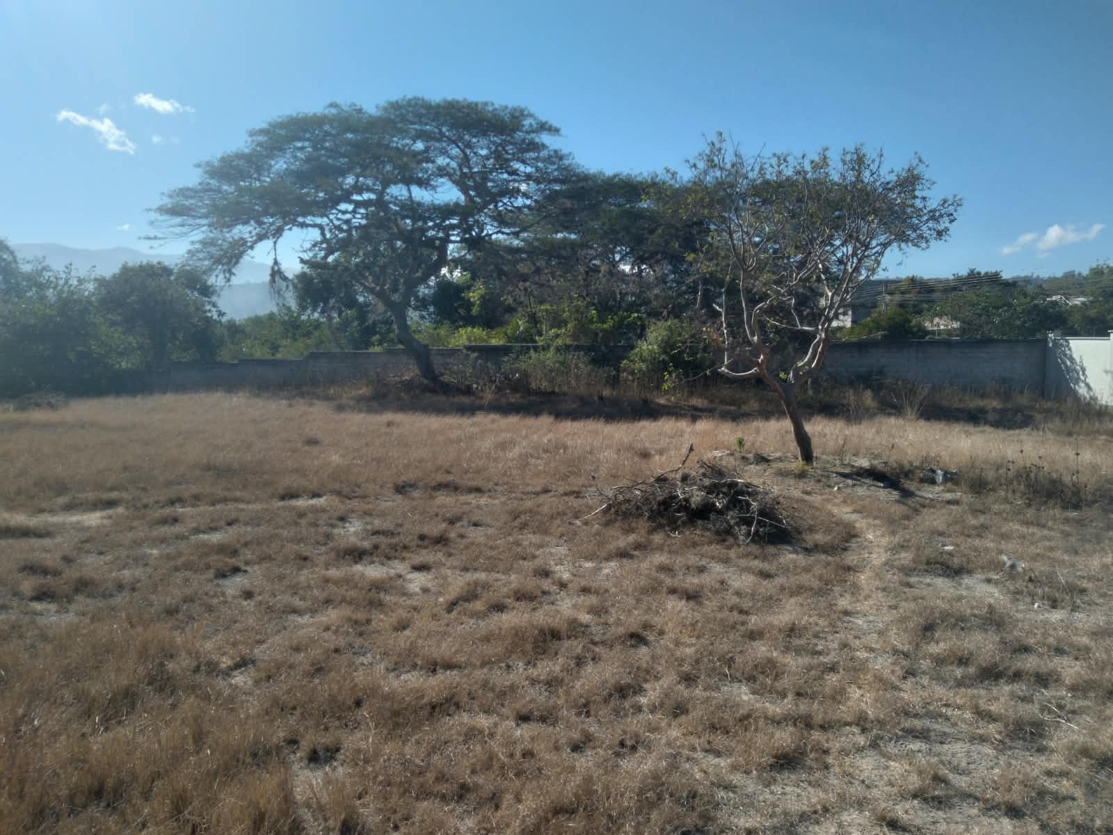 80c52f46-56b0-424f-b4b5-1676866ffade Terreno Estrategico Guayllabamba